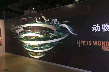 生命奥秘博物馆第 19 张图片