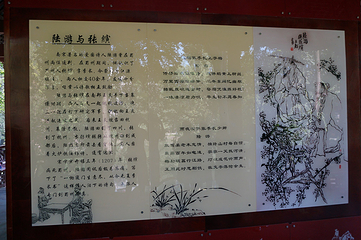 罨画池第 24 张图片