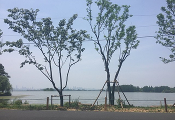 锦屏后海第 16 张图片