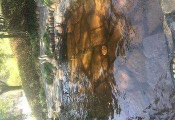 山湖温泉第 40 张图片