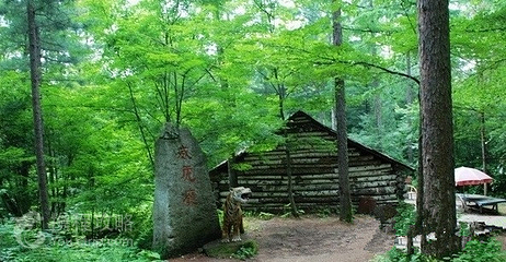 玉泉威虎山森林公园第 7 张图片