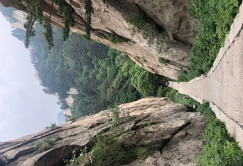 华山特产第 25 张图片