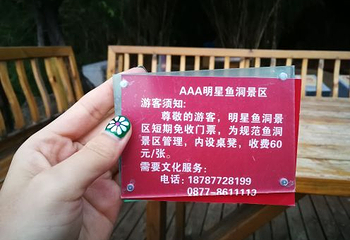 明星鱼洞第 40 张图片