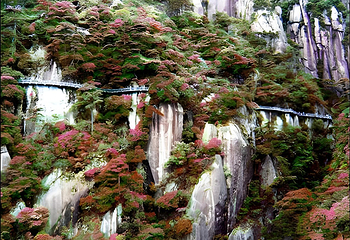 三清山风景区第 19 张图片