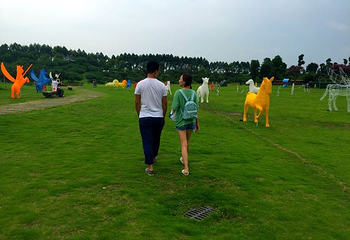 三圣花乡旅游区第 31 张图片