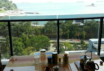 深圳大梅沙湾游艇会第 26 张图片