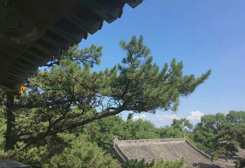老铁山第 12 张图片