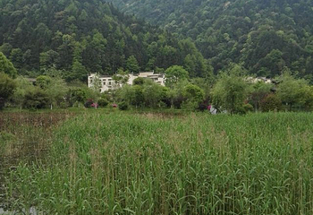 婺源瑶湾景区第 24 张图片