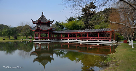 橘子洲景区第 33 张图片
