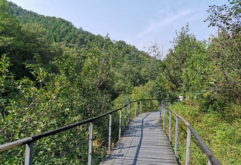 百望山森林公园第 30 张图片