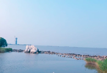 吴淞炮台湾湿地森林公园第 9 张图片