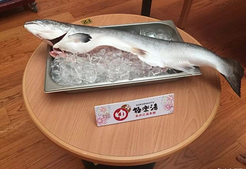 极乐汤(金沙江店)第 70 张图片