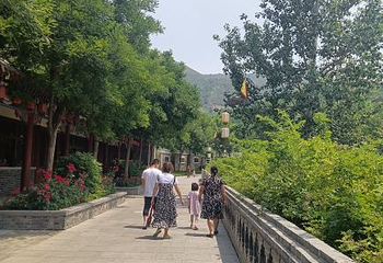 漫山花溪谷第 19 张图片