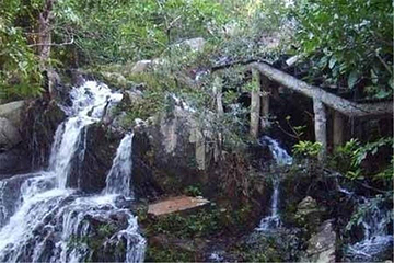 呀诺达雨林文化旅游区-梦幻谷第 16 张图片
