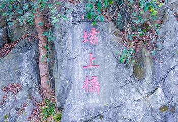 花溪公园第 41 张图片
