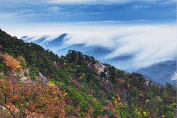 沂蒙山旅游区龟蒙景区第 82 张图片