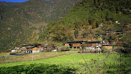丙中洛风景区第 35 张图片