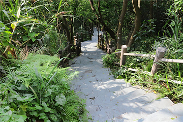 观音山旅游风景区第 166 张图片