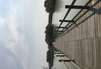 黄河口生态旅游区第 141 张图片