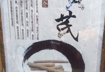莲云谷温泉第 18 张图片