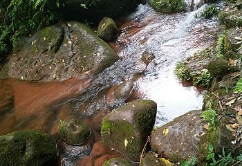 赤水丹霞旅游区·佛光岩第 32 张图片