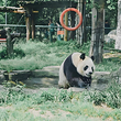 宁波野生动物园