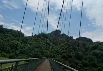 永安葛里栟榈山风景区第 23 张图片