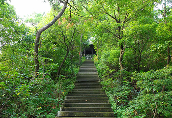 洛阳白云山风景区第 125 张图片