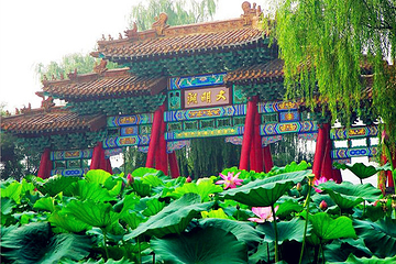 大明湖景区第 101 张图片