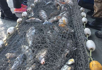 查干湖景区第 44 张图片
