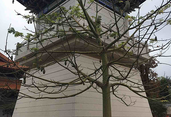 千佛宝塔第 14 张图片