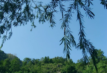 德庆盘龙峡生态旅游区第 51 张图片