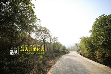 定军山第 11 张图片