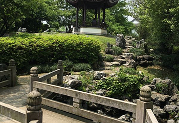 龙兴古寺第 9 张图片