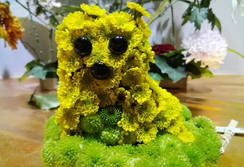 嵩明菊花展览会第 8 张图片