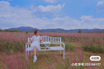 雨花谷薰衣草庄园第 15 张图片