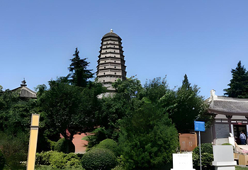 法门文化景区第 147 张图片