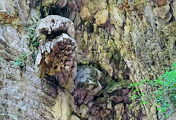 乌江黎芝峡旅游景区第 19 张图片
