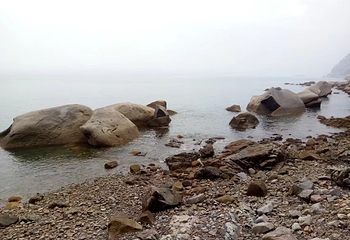 会场赶海园第 21 张图片