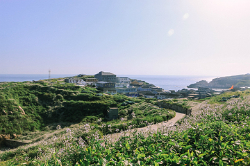 渔山列岛第 27 张图片