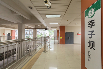 李子坝公园第 34 张图片