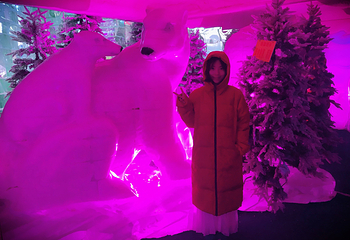 大角湾冰雪王国第 24 张图片