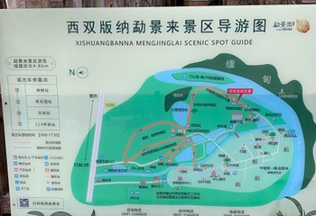勐景来第 52 张图片