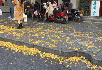 西湖文化广场第 13 张图片