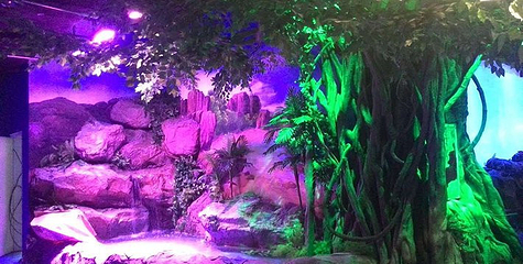 宜宾海昌海洋探索馆第 49 张图片