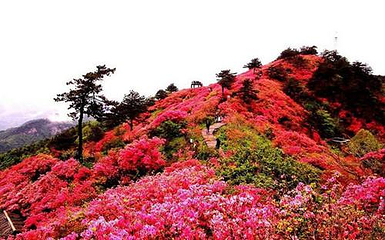 龙肘山第 6 张图片
