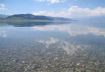 艾比湖湿地第 2 张图片