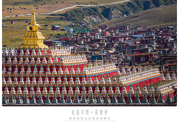 亚青寺第 20 张图片