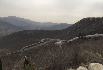 樱花山风景区第 54 张图片