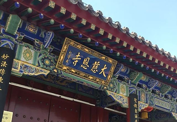 大雁塔地下宫第 8 张图片